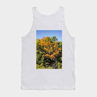 Autumn Afternoon drive Tank Top